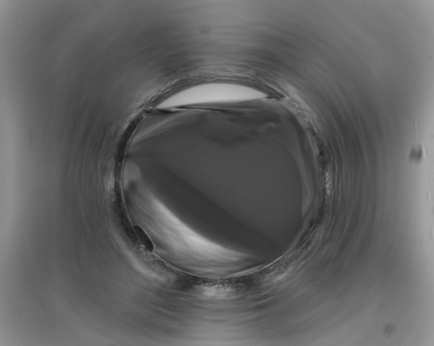 X0000097630500200803142027