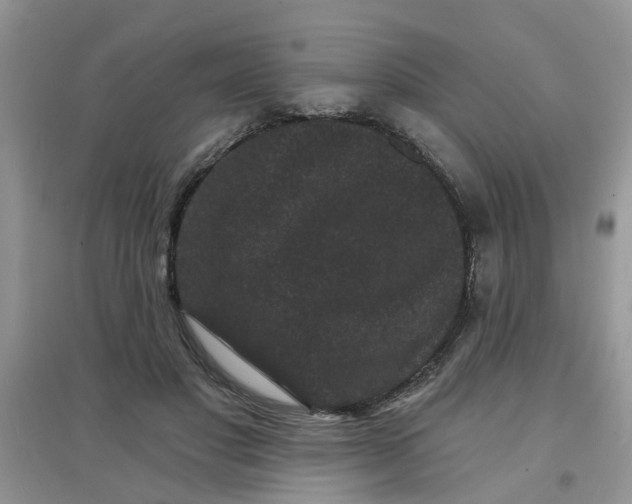 X0000097630501200803142027