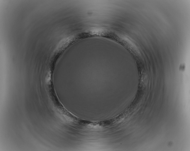 X0000097630502200803142027