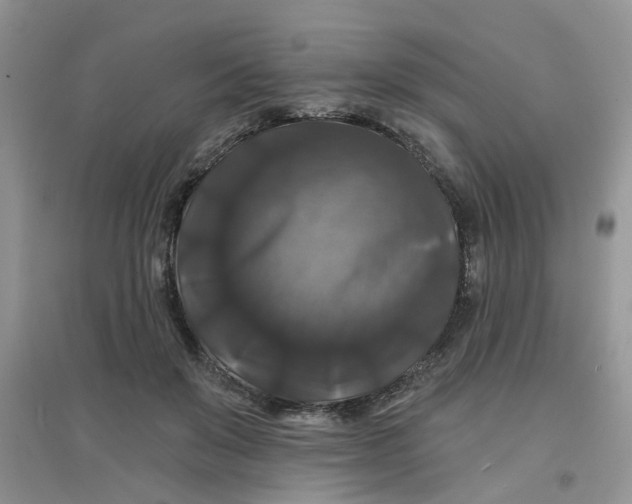 X0000097630503200803142027