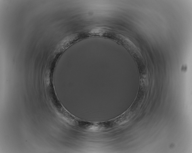 X0000097630504200803142027