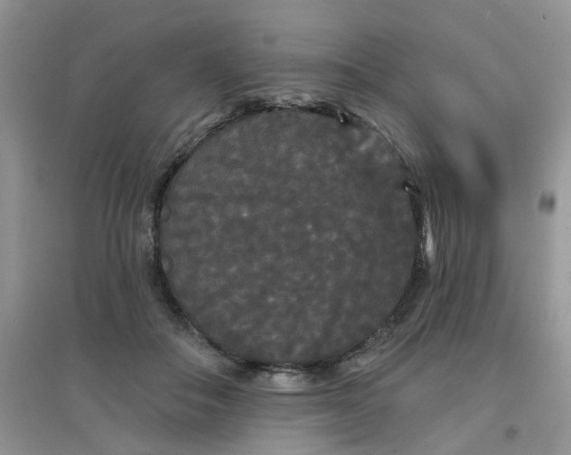 X0000097630506200803142027