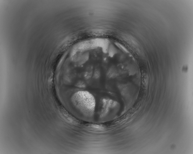 X0000097630507200803142027