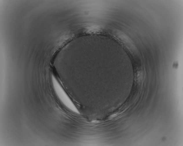 X0000097630508200803142027