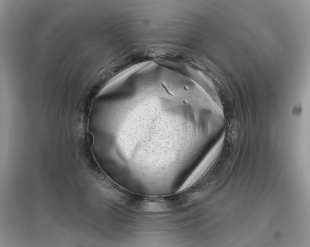 X0000097630510200803142027