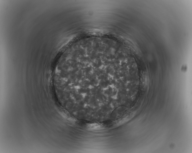 X0000097630511200803142027