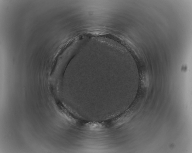 X0000097630512200803142027