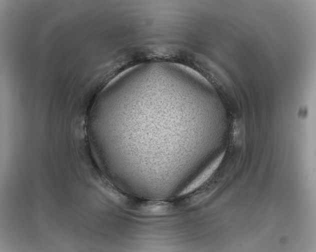 X0000097630514200803142027