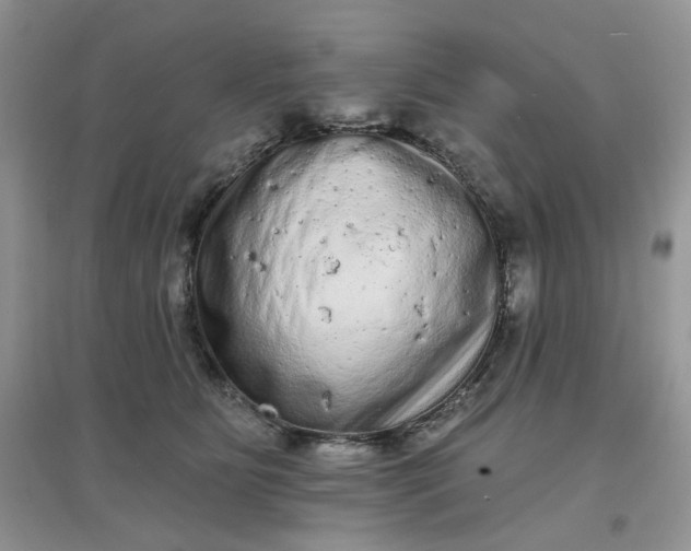 X0000097630515200803142027