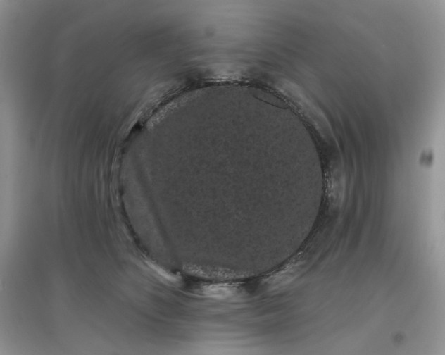 X0000097630516200803142027