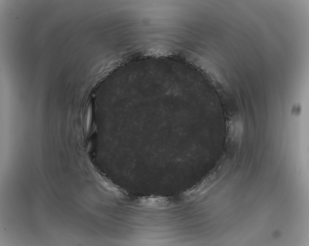 X0000097630517200803142027