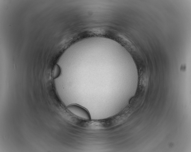 X0000097630518200803142027