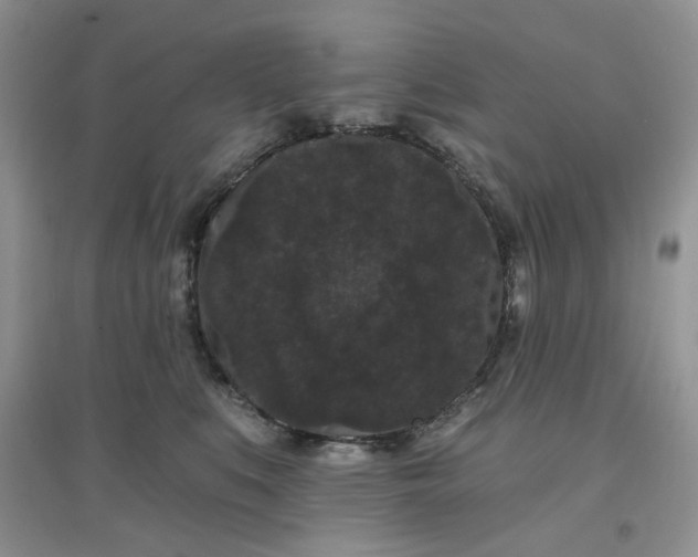 X0000097630519200803142027