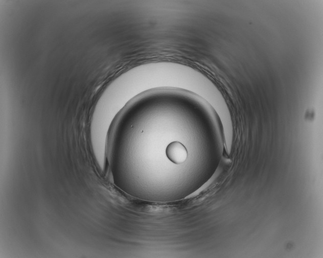 X0000097630520200803142027