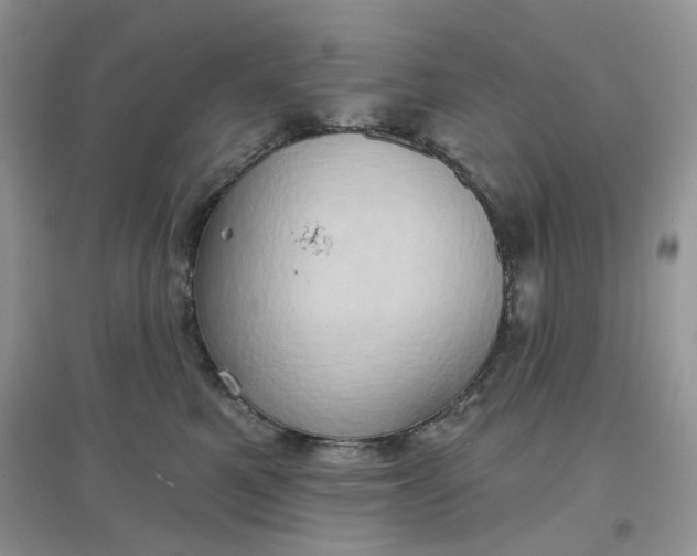 X0000097630521200803142027