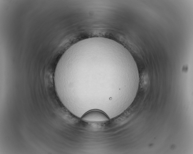 X0000097630522200803142027