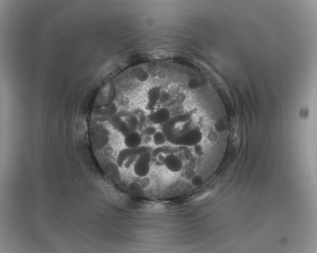 X0000097630523200803142027