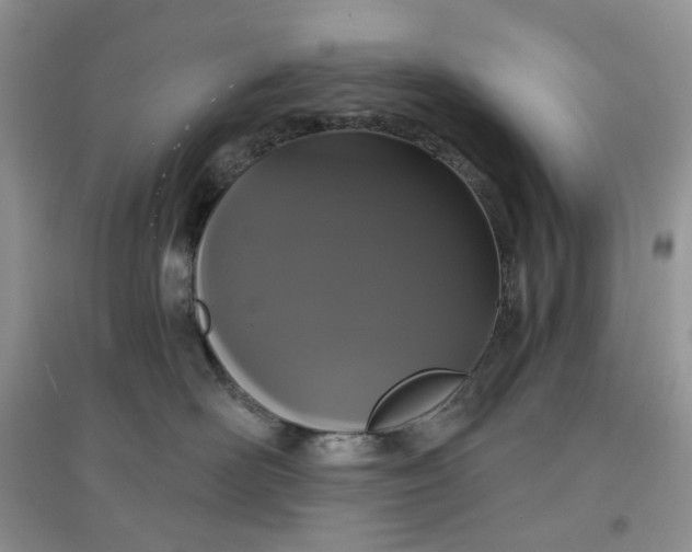 X0000097630526200803142027