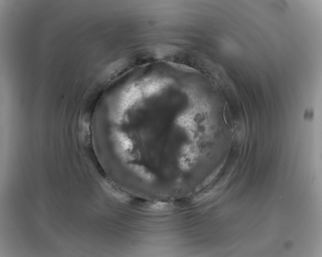 X0000097630527200803142027