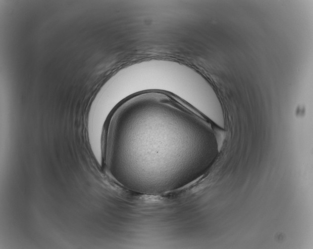 X0000097630528200803142027