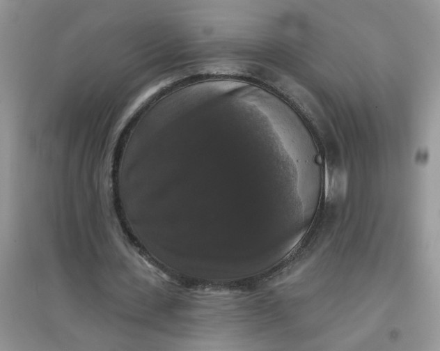 X0000097630531200803142026