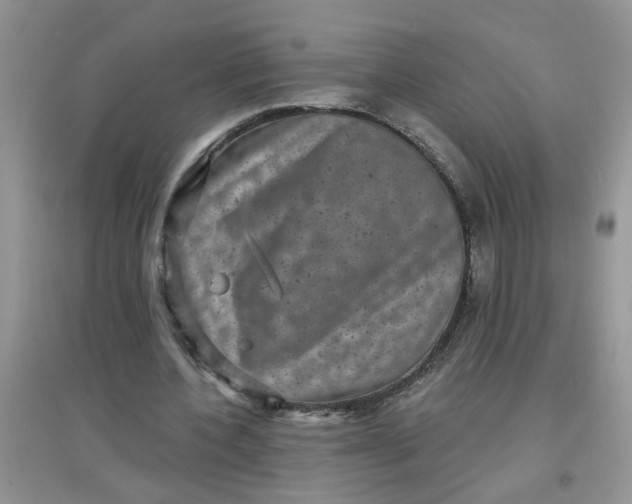 X0000097630532200803142026