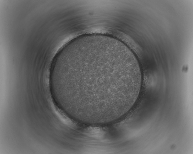 X0000097630534200803142026