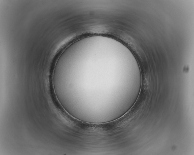 X0000097630535200803142026