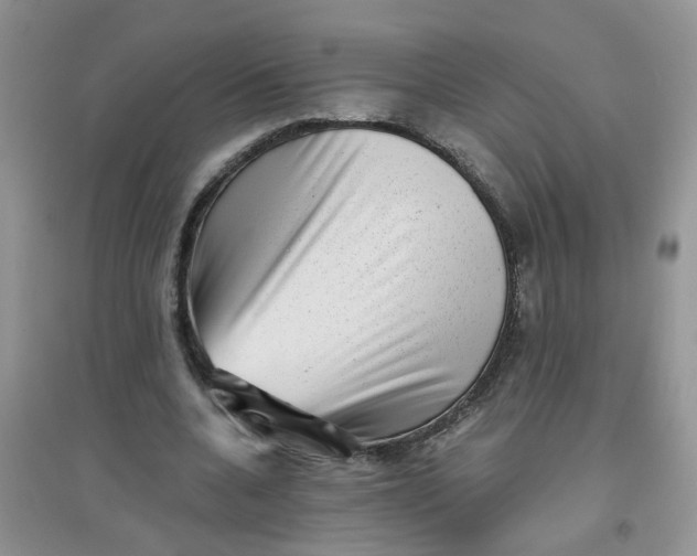 X0000097630536200803142026