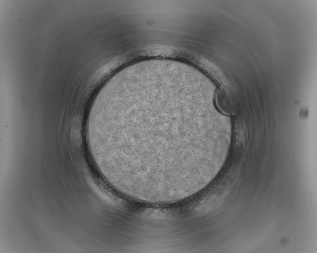 X0000097630538200803142026