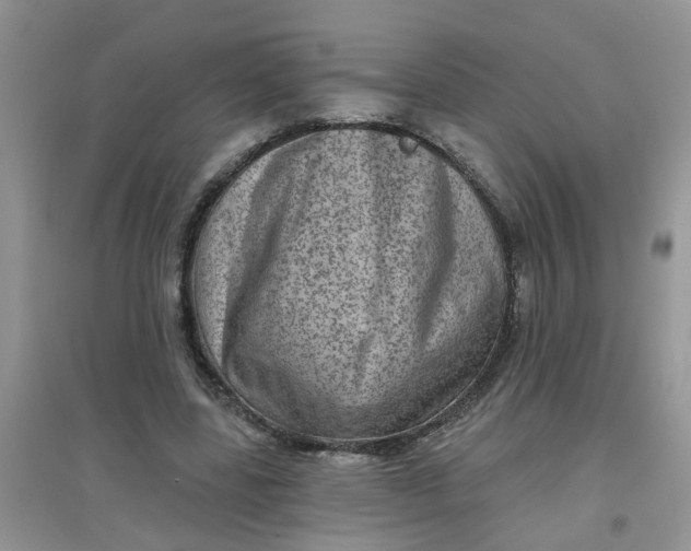 X0000097630539200803142026