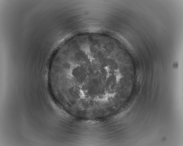 X0000097630542200803142026