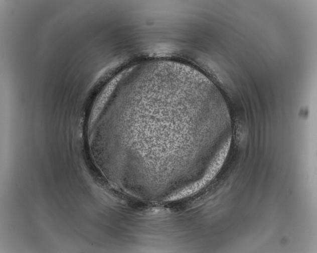 X0000097630543200803142026