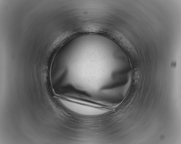 X0000097630544200803142026