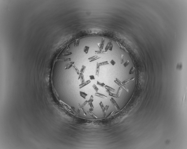 X0000097630545200803142027