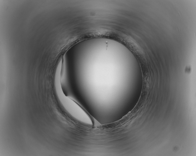 X0000097630546200803142027