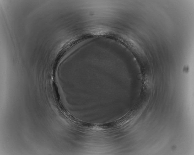 X0000097630547200803142027