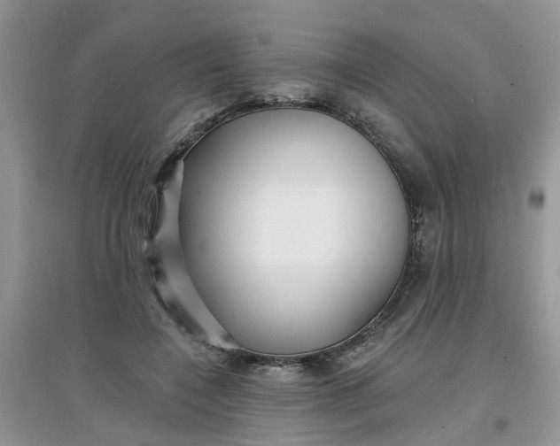 X0000097630548200803142027