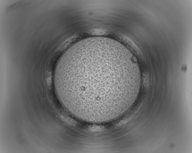 X0000097630549200803142027