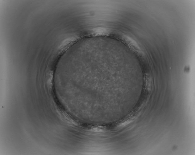 X0000097630550200803142027