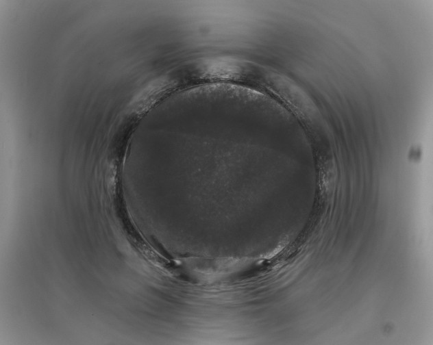 X0000097630551200803142027