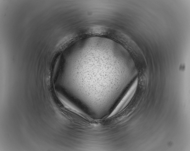 X0000097630552200803142027