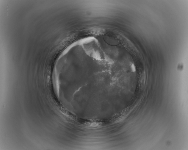 X0000097630553200803142027