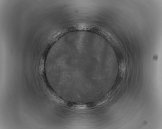 X0000097630554200803142027