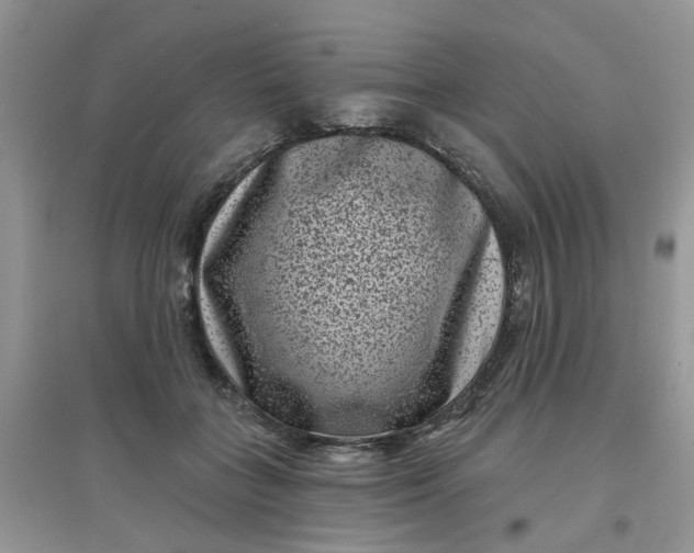 X0000097630555200803142027