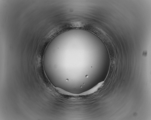 X0000097630556200803142027