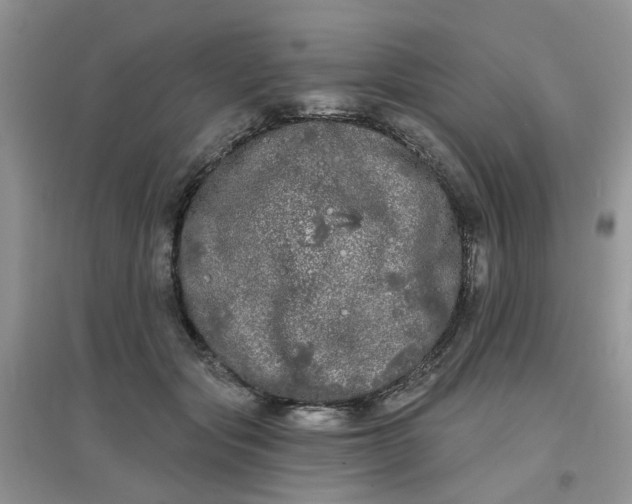 X0000097630557200803142027