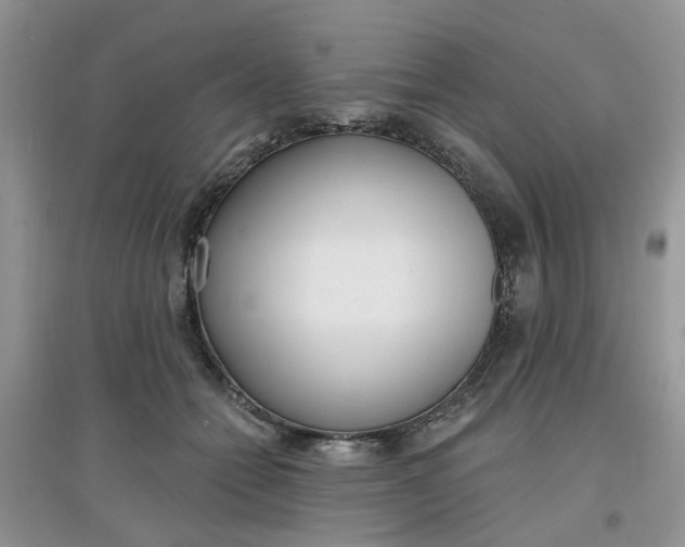 X0000097630558200803142027