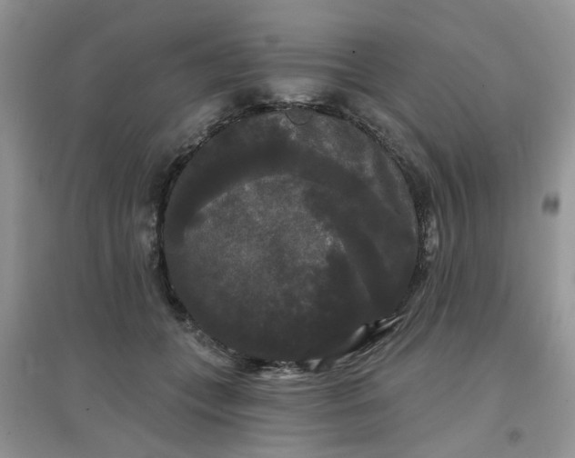 X0000097630559200803142027