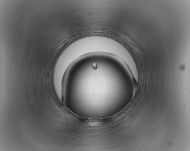 X0000097630560200803142027